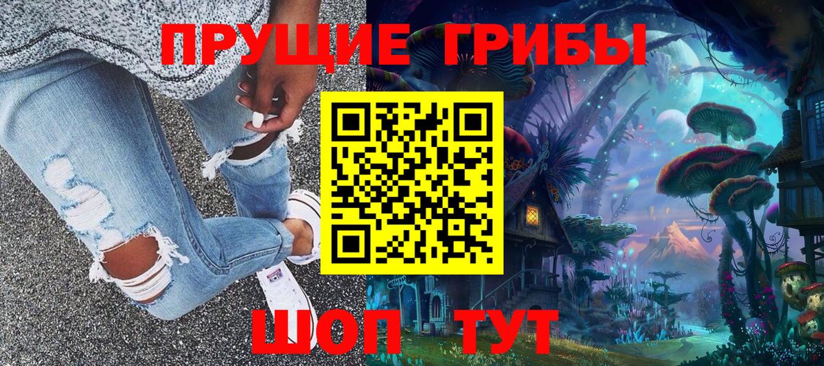 Псилоцибиновые грибы мицелий Шахты